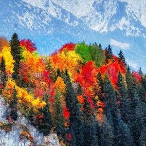 Meet your Posher, Maha